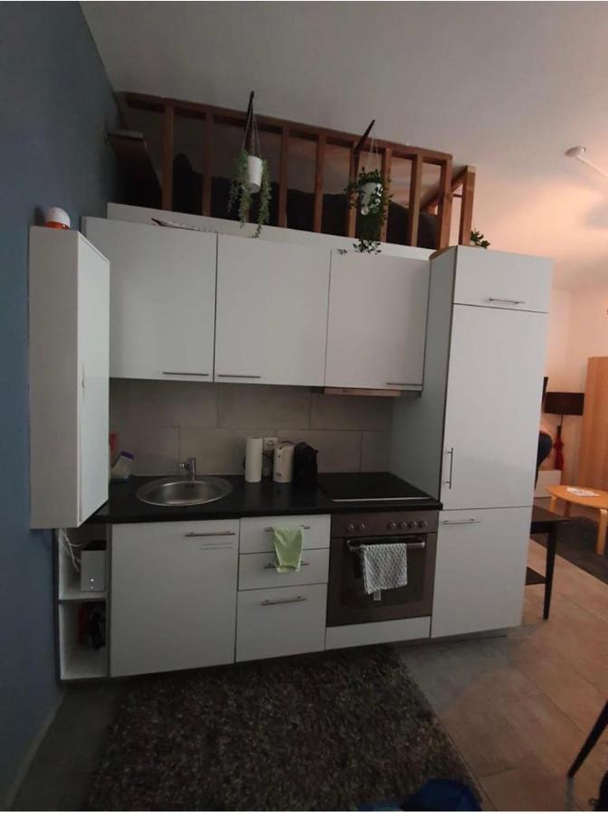 Modern Studio With Mezzanine Le Mont-Sur-Lausanne Εξωτερικό φωτογραφία