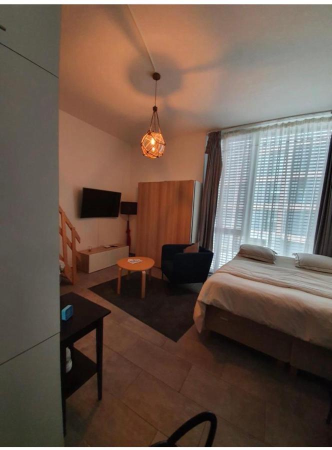 Modern Studio With Mezzanine Le Mont-Sur-Lausanne Εξωτερικό φωτογραφία